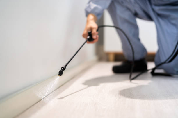 Licensed Mosquito Control service in Villas, FL - Show Me Pest Control