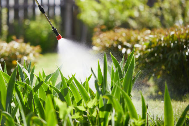 24/7 Emergency Mosquito Control experts in Villas, FL