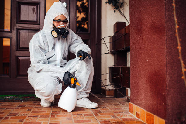 Reliable Mosquito Control contractor in Villas, FL by Show Me Pest Control